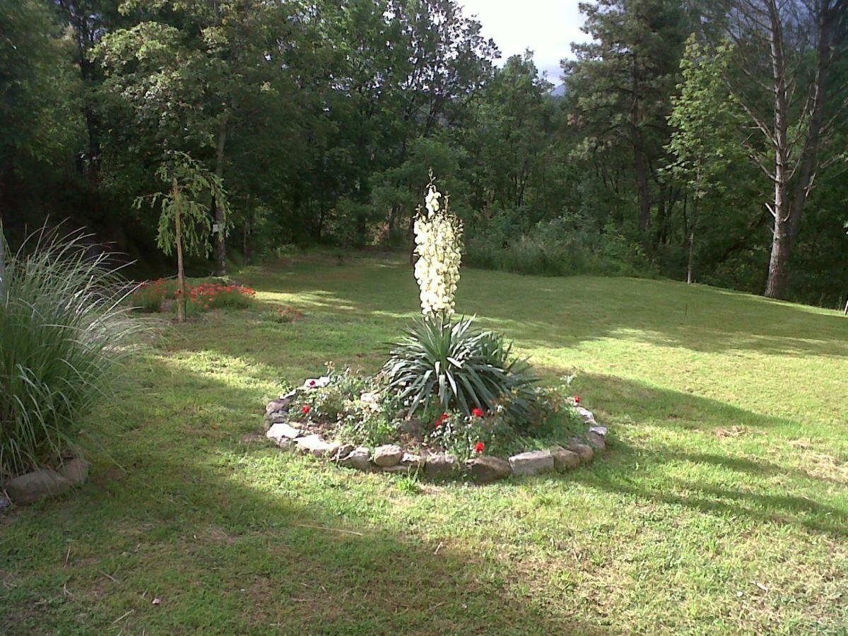 קורבארה B&B Oasi Verde מראה חיצוני תמונה
